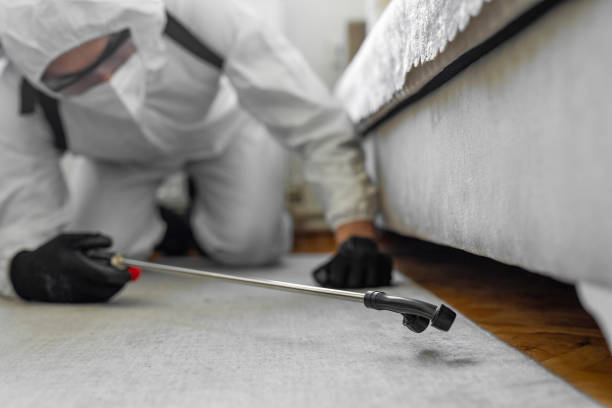 Professional Termite Control technician working in Hackettstown, NJ
