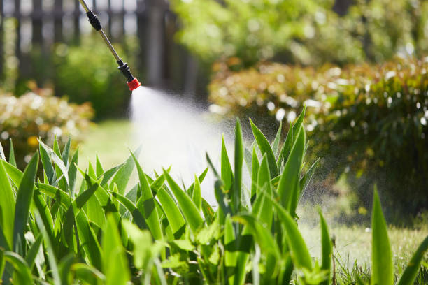 24/7 Emergency Termite Control experts in Hackettstown, NJ