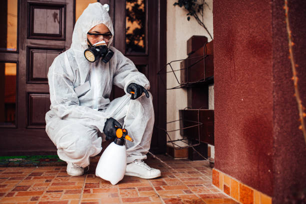 Reliable Termite Control contractor in Hackettstown, NJ by Nex Pest Control